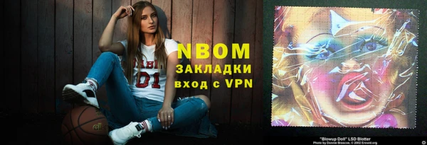 прущие грибы Алзамай