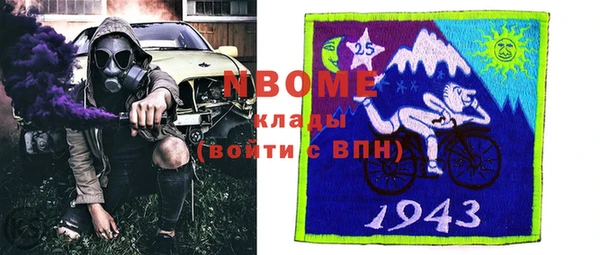 прущие грибы Алзамай