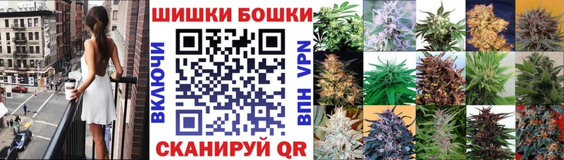 Шишки марихуана планчик  Лахденпохья 